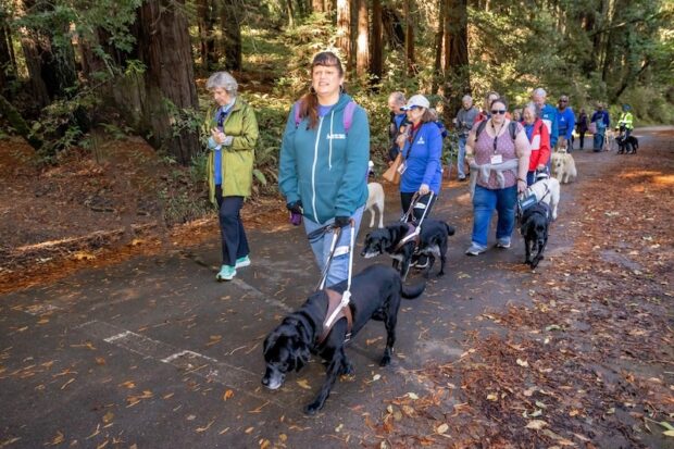 A group of GDB clients walk as a group down a wooded trail.
